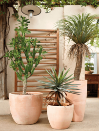 Handgemaakte Terracotta bloempot `Vaso Fallon` Ø53xH49