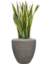 Natuurlijke plantenbak 'Twig Tub' | Biologisch afbreekbare plantenbak Ø 50 x H 50 cm
