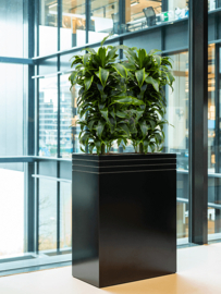 Design plantenbak 'Aston' L 110 x B 38 x H 75 cm (inclusief wielplateau en inzetbak)