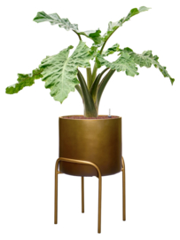 Kunststof plantenbak op poten 'Gambe' Ø 62 x H 40 cm | Honey