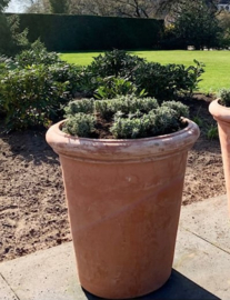 Handgemaakte Terracotta bloempot `Vaso Monica` Ø90xH96