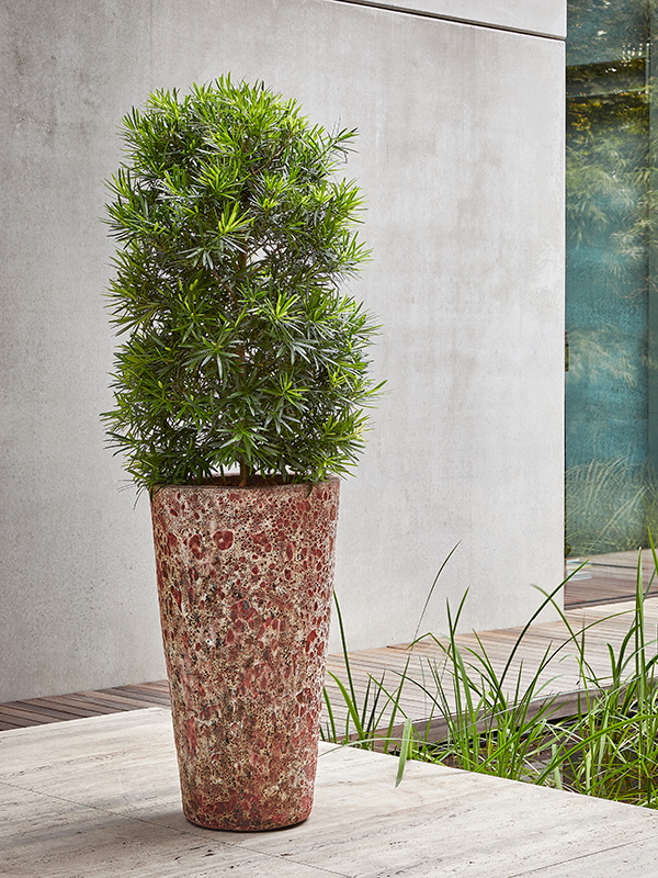 Keramiek plantenbak gemeleerd red lava Ø46 x H85 cm
