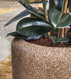 Natuurlijke plantenbak 'Twig Tub' | Biologisch afbreekbare plantenbak Ø 65 x H 65 cm