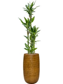 Keramiek plantenbak 'Eliza' hoogglans lak  Ø36 x H63 cm
