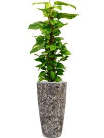 Keramiek plantenbak gemeleerd black lava Ø35 x H65 cm