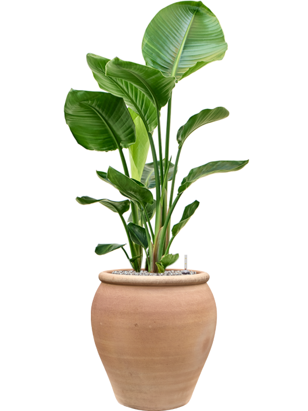 Handgemaakte Terracotta pot `Vaso Artigiano` Ø45xH40