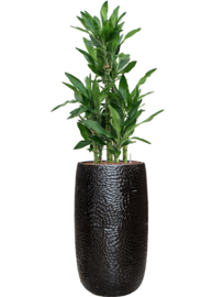 Keramiek plantenbak 'Claire' zwart hoogglans lak  Ø31 x H63 cm