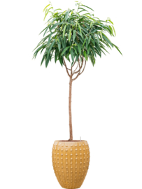Keramiek plantenbak  'Lucia' glanzend geel Ø44 x H55 cm