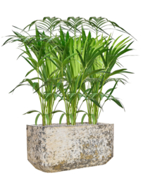 Langwerpige plantenbak 'Andes Rectang' | Ø100 x B50 x H50 cm | Gemêleerd bruin | Weerbestendig voor binnen en buiten