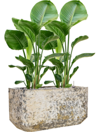 Langwerpige plantenbak 'Andes Rectang' | Ø100 x B50 x H50 cm | Gemêleerd bruin | Weerbestendig voor binnen en buiten