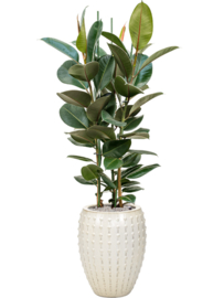Keramiek plantenbak  'Lucia' creme D54 x H67 cm
