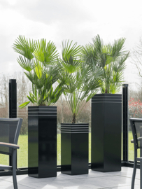 Design plantenbak 'Aston' L 38 x B 38 x H 75 cm (inclusief wielplateau en inzetbak)