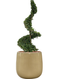 Keramiek plantenbak 'Illy' hoogglans cremewit  Ø56 x H56 cm