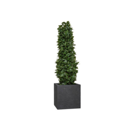 Vierkante granietlook plantenbak `Tampa` Afmeting: L40 x B40 x H40 | Kleur: Black Stonelook