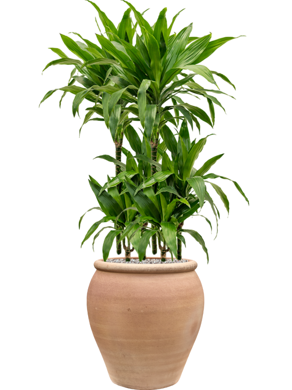 Handgemaakte Terracotta pot `Vaso Artigiano` Ø45xH40