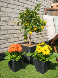 Duurzame composiet plantenbak taps toelopend 'Stone Art' | Gerecyclede plantenbak Ø 40 x H 40 cm