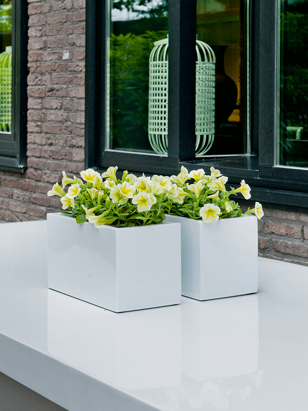 Hoogglans polyester plantenbak langwerpig 'Mirror' 50x20x20 cm