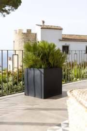 Vierkante stonelook plantenbak `Michigan` Afmeting: L140 x B140 x H82 | Kleur: Black Stonelook