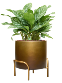 Kunststof plantenbak op poten 'Gambe' Ø 40 x H 43 cm | Honey