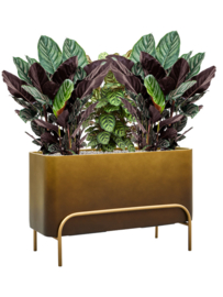 Kunststof plantenbak op poten 'Gambe' L 82 x B 34 x H 51 cm | Honey