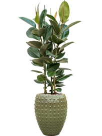 Keramiek plantenbak  'Lucia' glanzend groen Ø44 x H55 cm