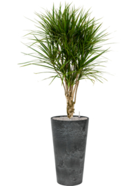 Duurzame composiet plantenbak taps toelopend 'Stone Art' | Gerecyclede plantenbak Ø 37 x H 70 cm