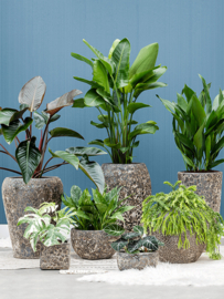Keramiek plantenbak gemeleerd black lava Ø45 x H75 cm