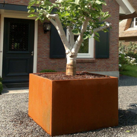 CorTenstaal plantenbak 'Premium' 80x80x40 cm