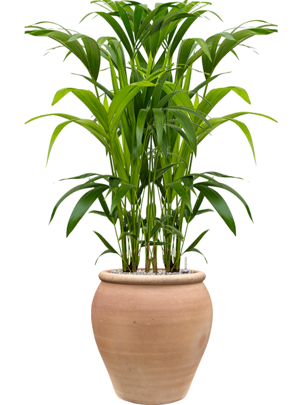 Handgemaakte Terracotta pot `Vaso Artigiano` Ø45xH40