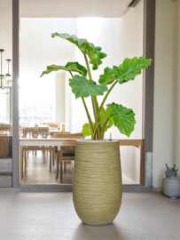 Ronde Fiberclay bloembak 'Sandflow' | kleur: Green | Ø 25 x H 40 cm