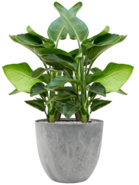 Duurzame composiet plantenbak 'Stone Art' | Gerecyclede plantenbak Ø 45 x H 38 cm