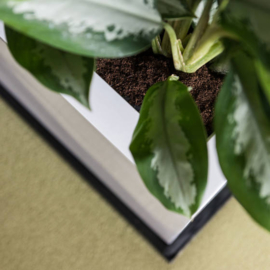 Rechthoekige Fiberstone plantenbak L100 x B40 x H50 cm. Kleur: Shiny White