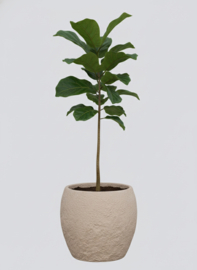 Langwerpige Fiberclay plantenbak 'Coastal Rock' | kleur: Khaki  | Ø 43 x H 41 cm