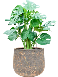 Ronde plantenbak 'Andes Cone' | Ø44 x H36 cm | Gemêleerd bruin | Weerbestendig voor binnen en buiten