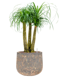 Ronde plantenbak 'Andes Cone' | Ø44 x H36 cm | Gemêleerd bruin | Weerbestendig voor binnen en buiten