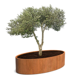 Cortenstaal ovale design plantenbak 'Bravot' 280 x 160 x 40 cm