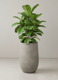 Fiberclay plantenbak 'Serenity' Alto | Kleur: Grey Brown |  Ø 48 x H 75 cm