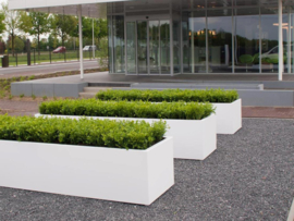 Polyester plantenbak rechthoekig 'Titan' 245x20x17 cm