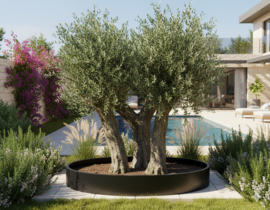 Aluminium plantenbak `Oval`zonder bodem L 280 x B 160 x H 40 cm