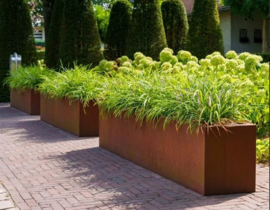 Cortenstaal plantenbak rechthoek 'Premium' 120 x 40 x 40 cm