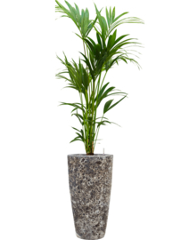 Keramiek plantenbak gemeleerd black lava Ø35 x H65 cm