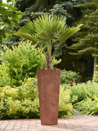 Duurzame composiet plantenbak taps toelopend 'Stone Art' | Gerecyclede plantenbak Ø 40 x H 90 cm