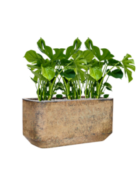 Langwerpige plantenbak 'Andes Rectang' | Ø80 x B40 x H40 cm | Gemêleerd bruin | Weerbestendig voor binnen en buiten