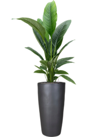 Keramiek plantenbak 'Mila' zandstructuur  Ø36 x H70 cm