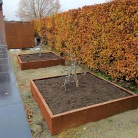 CorTenstaal plantenbak 'Premium' zonder bodem 120x120x40 cm