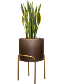 Kunststof plantenbak op poten 'Gambe' Ø 62 x H 40 cm | Coffee