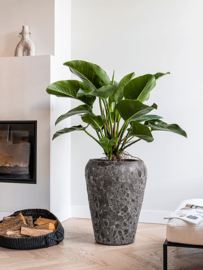 Keramiek plantenbak gemeleerd black lava Ø50 x H68 cm