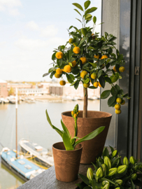 Duurzame composiet plantenbak taps toelopend 'Stone Art' | Gerecyclede plantenbak Ø 43 x H 39 cm