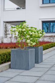 Vierkante stonelook plantenbak `Michigan` Afmeting: L110 x B110 x H70 | Kleur: Grey Stonelook