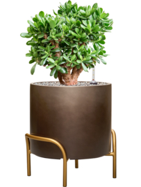 Kunststof plantenbak op poten 'Gambe' Ø 40 x H 43 cm | Coffee